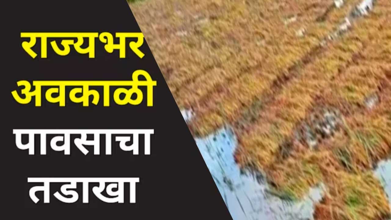 राज्यात अवकाळी पावसाचा हाहाकार: गारपिटीने शेती पिकांचे अतोनात नुकसान Unseasonal Rains