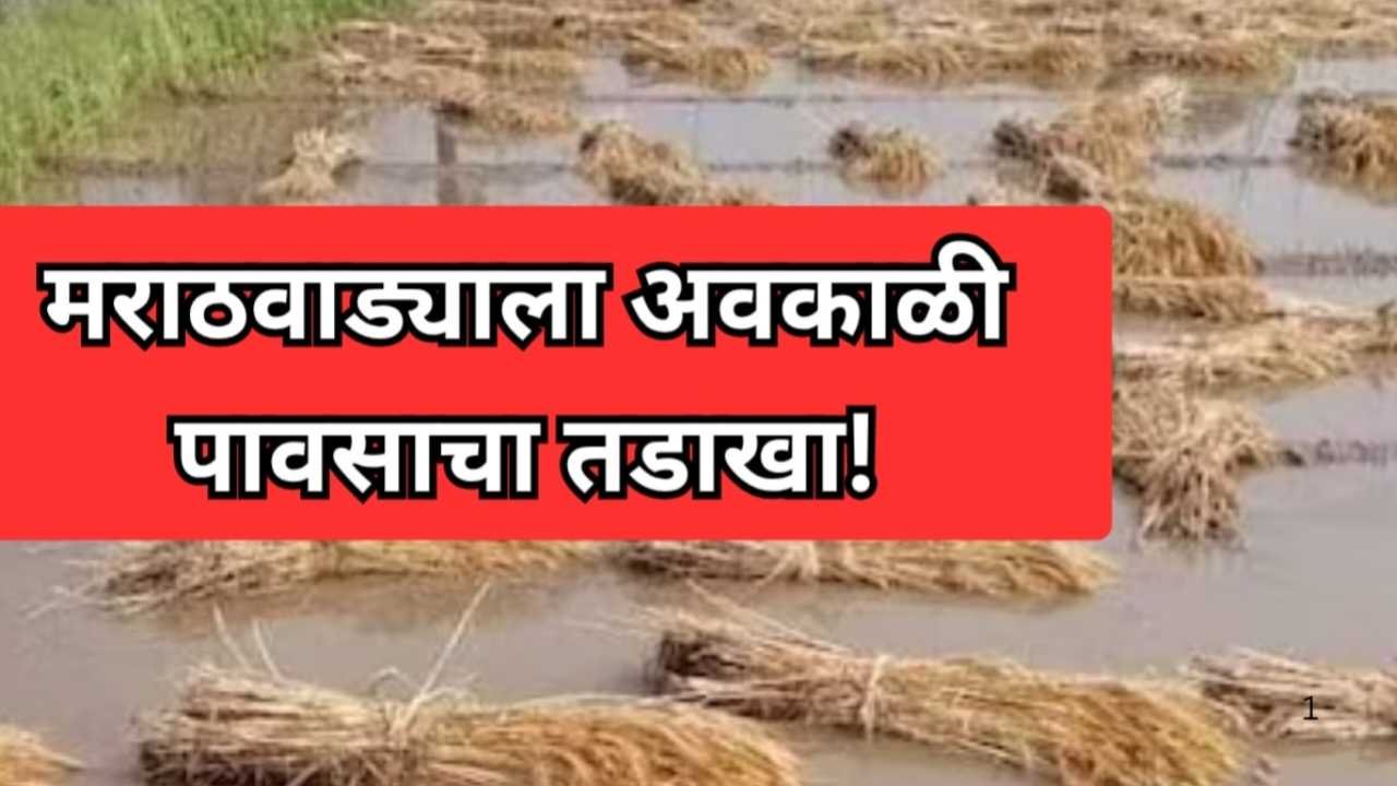 अवकाळी पावसाचा कहर: शेतकऱ्यांचे मोठे नुकसान, तुमच्या जिल्ह्याची स्थिती पहा Weather Alert